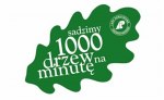 „1000 drzew na minutę" dla uczczenia pamięci 800 letniego „Bolesława”