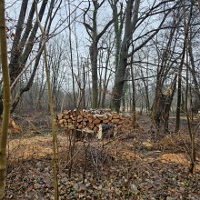 Pracownicy GOSiR porządkują teren zabytkowego parku